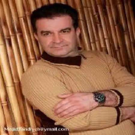 دانلود اهنگ مجید زندیه کاش میشد