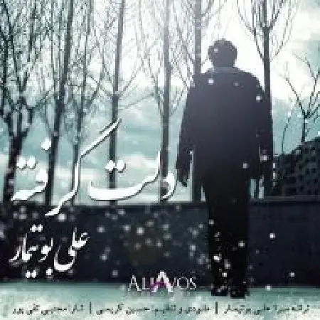 دانلود اهنگ علی بوتیمار دلت گرفته