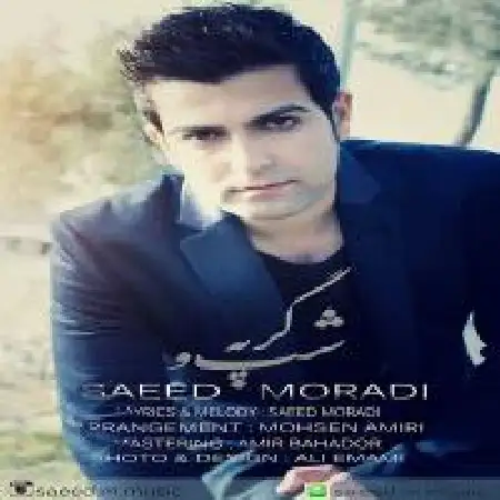 دانلود اهنگ سعید مرادی شب و گریه