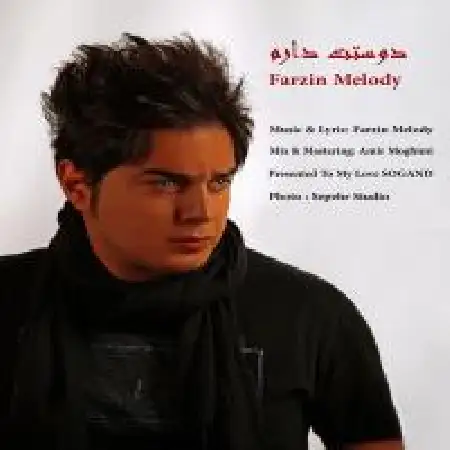 دانلود اهنگ فرزین ملودی دوستت دارم