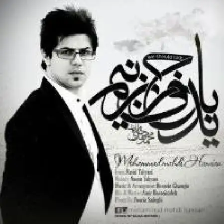 دانلود آلبوم تک اهنگ ها از محمدمهدی حامیان