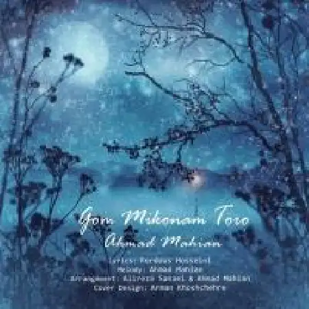 دانلود اهنگ احمد ماهیان گم میکنم تورو