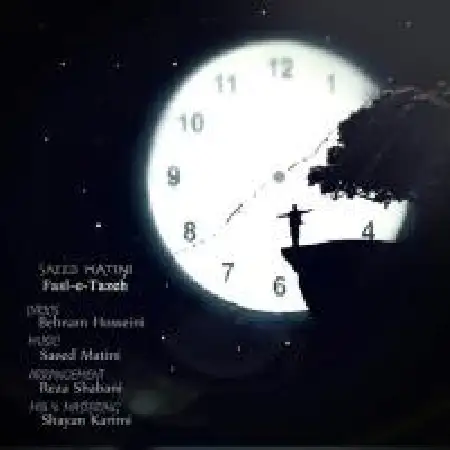 دانلود آلبوم تک اهنگ ها از سعید متینی