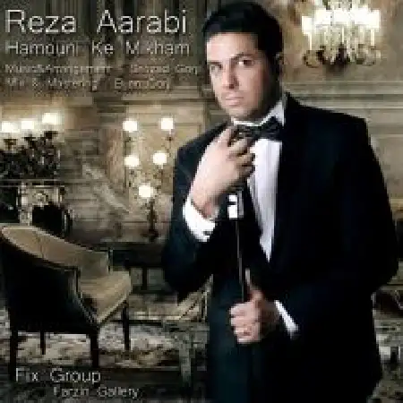 دانلود اهنگ رضا اعرابی همونی که میخوام