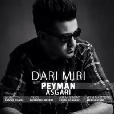 دانلود اهنگ پیمان عسگری داری میری