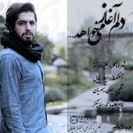 دانلود اهنگ میلاد بابایی دلم آغاز می خواهد