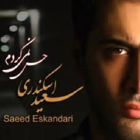 دانلود اهنگ سعید اسکندری حس نمی کردم