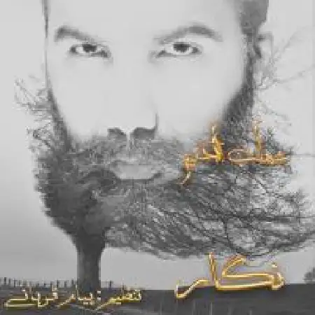 دانلود اهنگ شهاب الدین نگار