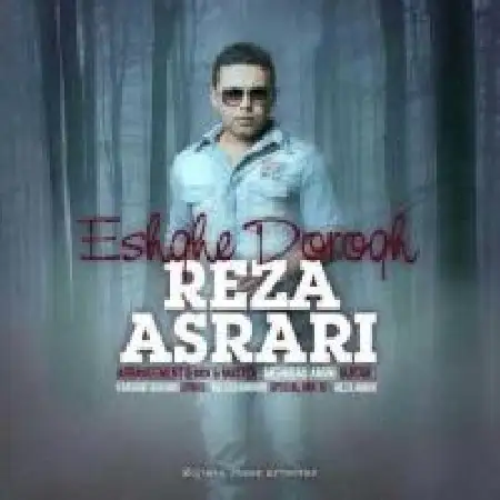 دانلود اهنگ رضا اسراری عشق دروغ