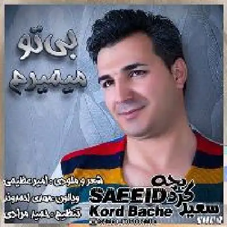 دانلود اهنگ سعید کردبچه بی تو میمیرم