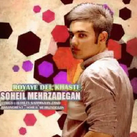 دانلود اهنگ سهیل مهرزادگان رویای دل خسته
