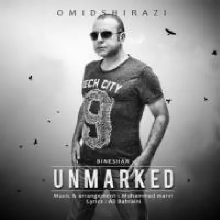 دانلود اهنگ امید شیرازی بی نشان