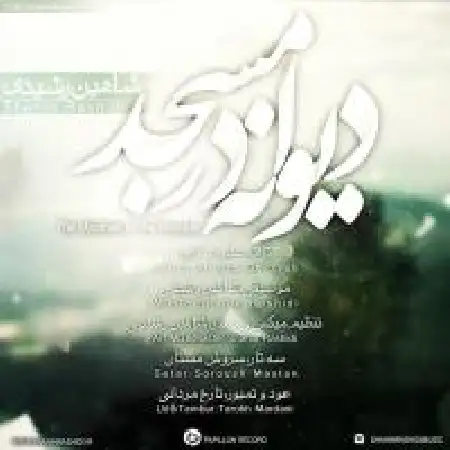 دانلود اهنگ شاهین رشیدی دیوانه در مسجد