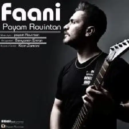 دانلود اهنگ پیام رویین تن فانی