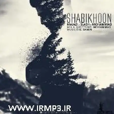 دانلود اهنگ تی دی شبیخون با حضور اسلش و مجازی