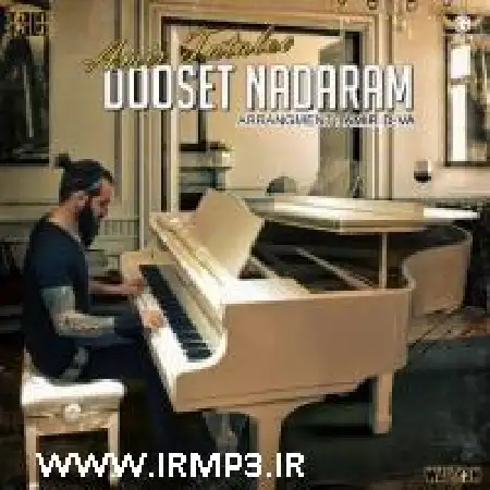 دانلود اهنگ امیر تتلو دوست ندارم