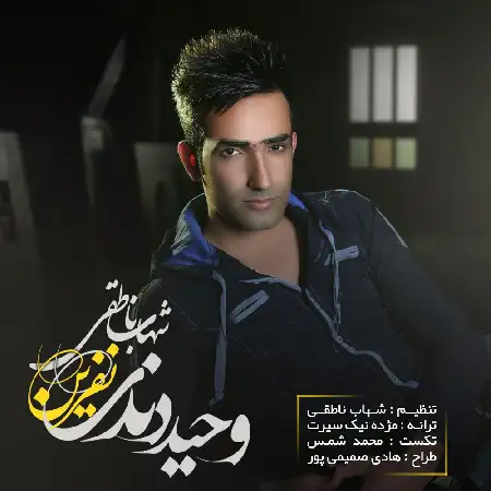 دانلود آلبوم تک اهنگ ها از وحید دندی