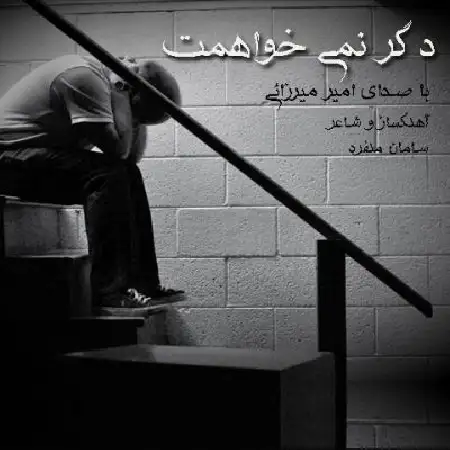 دانلود آلبوم تک اهنگ ها از امیر میرزایی