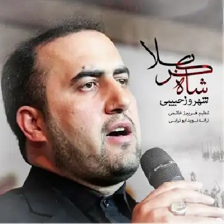 دانلود اهنگ شهروز حبیبی شاه کربلا
