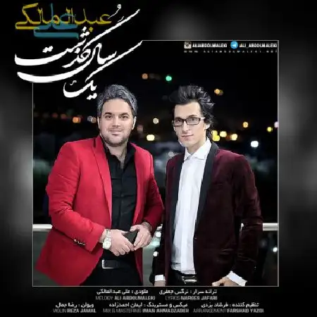 دانلود اهنگ علی عبدالمالکی یک سال گذشت