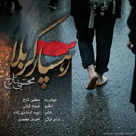 دانلود اهنگ مجتبی تارخ رهسپار کربلا