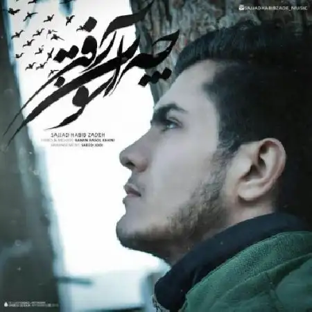 دانلود آلبوم تک اهنگ ها از سجاد حبیب زاده