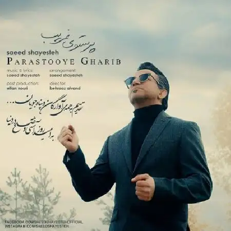 دانلود اهنگ سعید شایسته پرستوی غریب