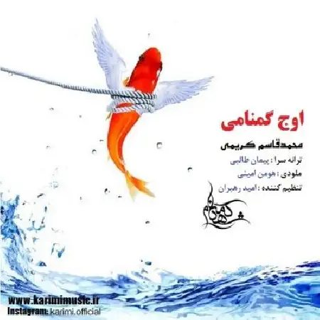 دانلود اهنگ محمدقاسم کریمی اوج گمنامی