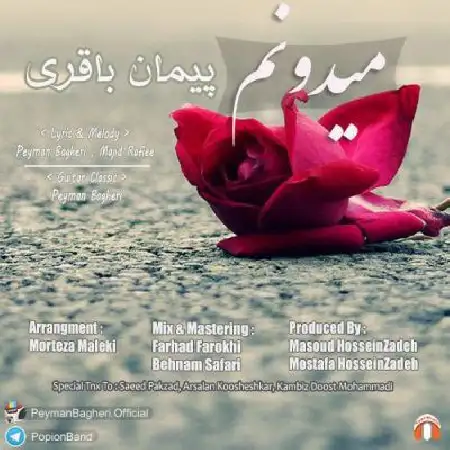 دانلود اهنگ پیمان باقری می دونم