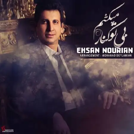 دانلود اهنگ احسان نوریان بی تو کنار میکشم