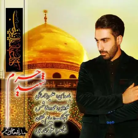 دانلود اهنگ علیرضا سالکی شهید حرم