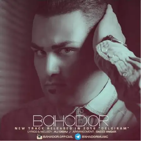 دانلود اهنگ بهادر دلگیرم