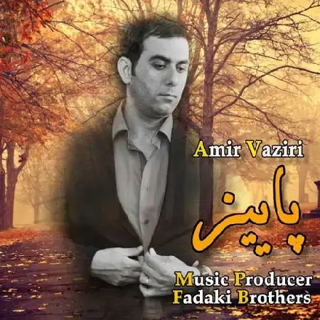 دانلود اهنگ امیر وزیری پاییز