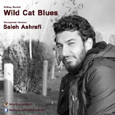 دانلود اهنگ صالح اشرفی Wild Cat Blues