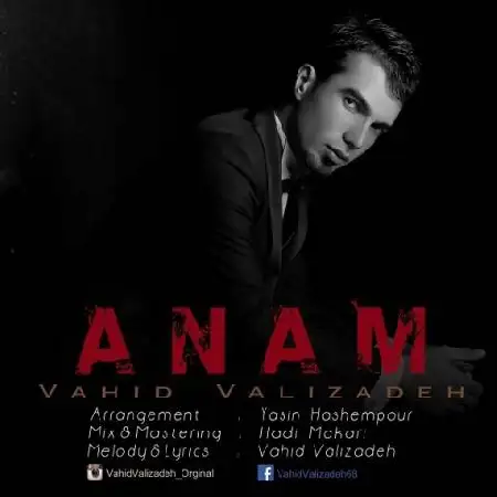 دانلود آلبوم تک اهنگ ها از وحید علیزاده
