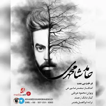 دانلود اهنگ حامد شامحمدی درخت بی منت