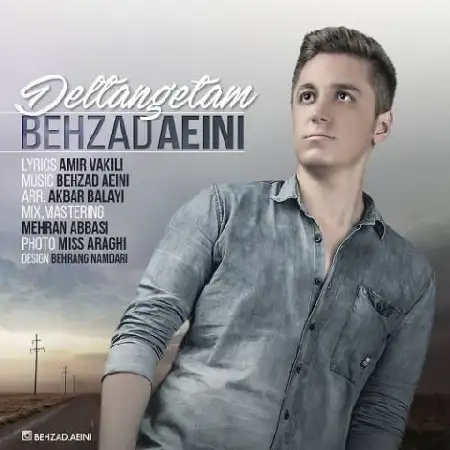 دانلود اهنگ بهزاد آیینی دلتنگتم