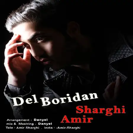 دانلود اهنگ امیر شرقی دل بریدن