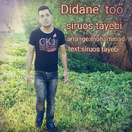 دانلود اهنگ سیروس طیبی دیدن تو