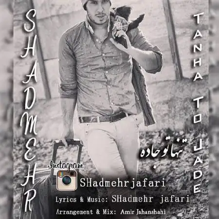 دانلود آلبوم تک اهنگ ها از شادمهر جعفری