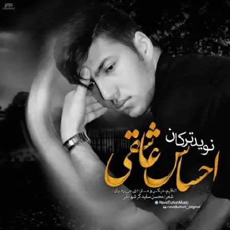 دانلود آلبوم تک اهنگ ها از نوید ترکان