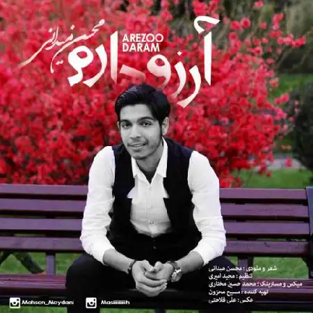 دانلود اهنگ محسن میدانی آرزو دارم