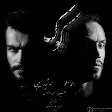 دانلود آلبوم تک اهنگ ها از احمد سلو و مهرشاد حبیبی