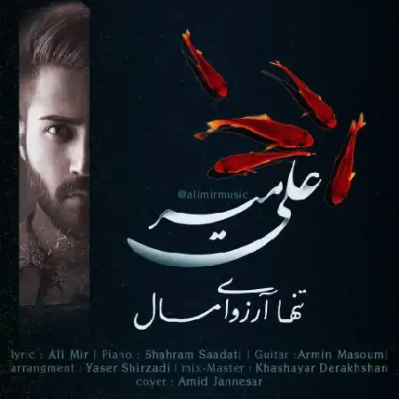 دانلود اهنگ علی میر تنها آرزوی امسال