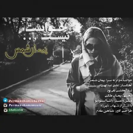 دانلود اهنگ پیمان شمس حواست نیست