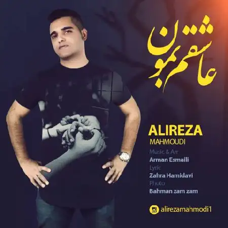دانلود اهنگ علیرضا محمودی عاشقم بمون