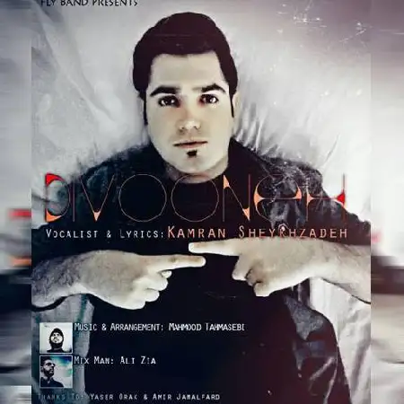 دانلود اهنگ کامران شیخ زاده دیوونه