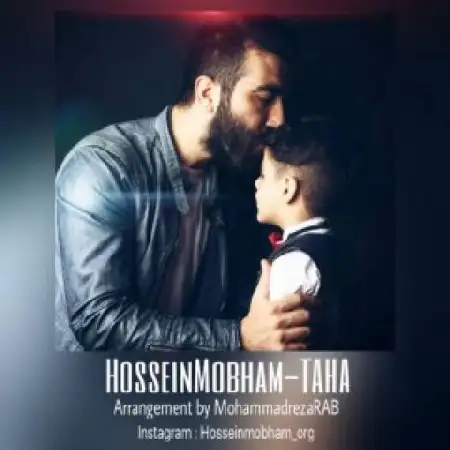 دانلود آلبوم تک اهنگ ها از حسین مبهم