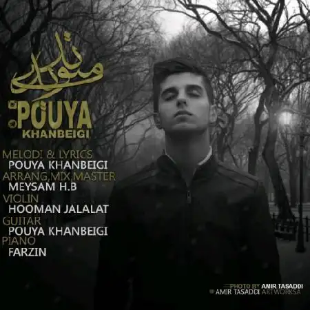 دانلود اهنگ پویا خانبیگی منو ندیدی