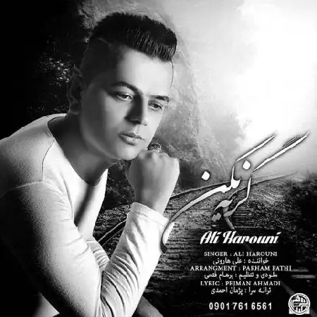 دانلود اهنگ علی هارونی گریه نکن